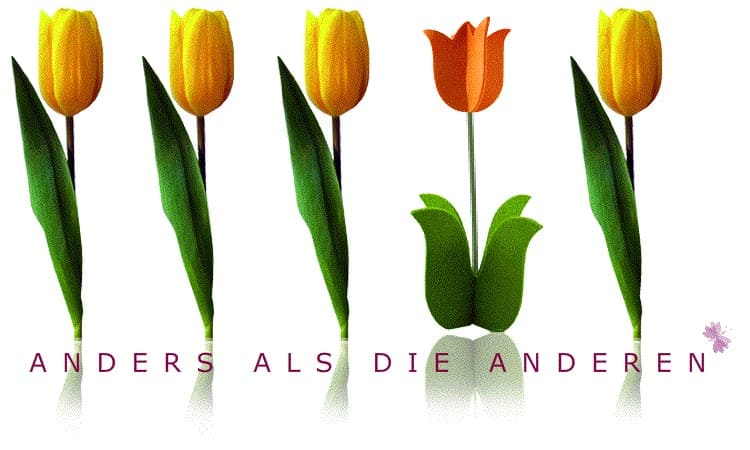 headerbild